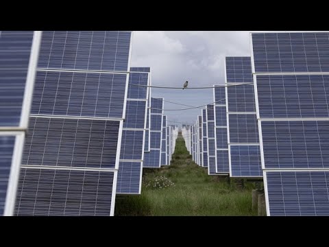 Africa’s imports of Chinese solar panels jump 60% as continent turns to renewables