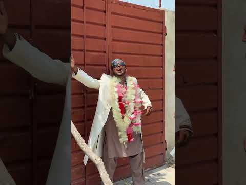 Solar Panels 😂 #funny #viral #comedy #vlog #jaani777