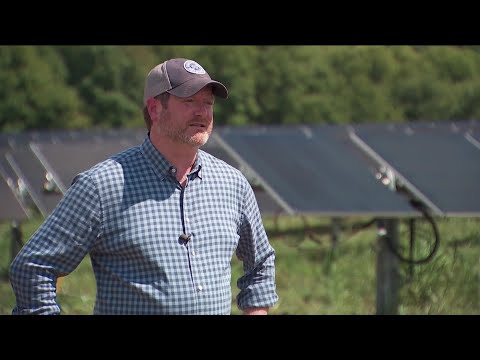 USDA cuts solar farm funding as one company says energy and agriculture can coexist