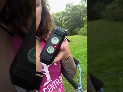 Never Run Out of Power Again! Check Out This Must-Have Solar Charger