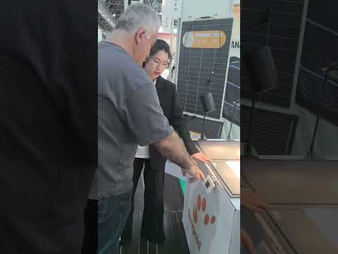 Clean Energy– Solar Panels Steal the Spotlight! 🌞