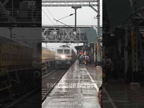 Why are railways installing solar panels under tracks? #shorts #train #railway #trending #rail
