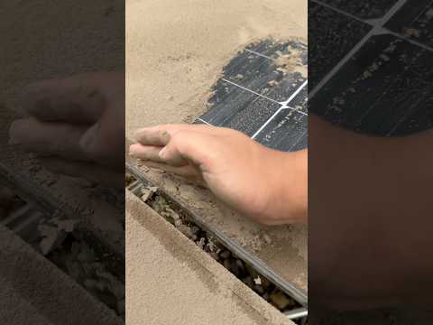 Which method will dominate solar panel cleaning in the future? Which one do you trust the most?