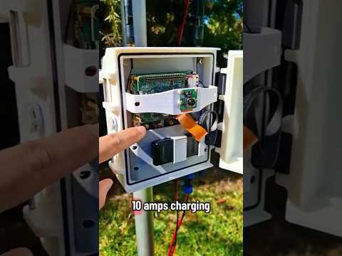 Solar Powered Raspberry Pi wildlife identifier #raspberrypi #ai #camera
