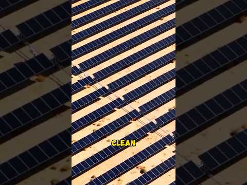 Cleaning Millions of Solar Panels in the Desert