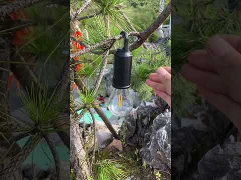 “Unbreakable Solar Light – Charges by Day, Shines for Nights! ⚡💡☀️” #KMJB #SolarLight