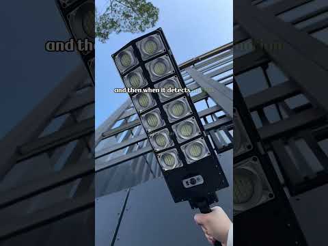 Essential Backyard Upgrade with Solar Power! #solarlights #ledlight