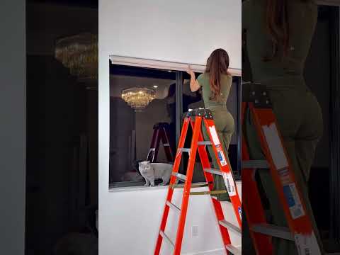 Smart Shades That Run on Solar Power! #home #shades #homedecor #solarwindows #trend #homedesign