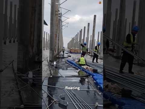 Why China Covered the Ocean in Solar Panels