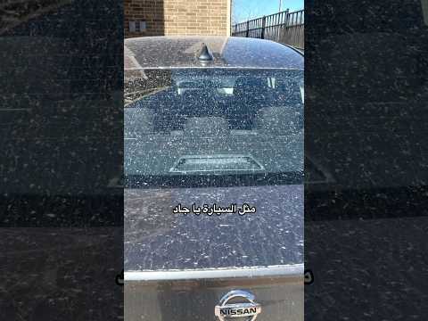 #energycleaners #solarpanels #solarcleaning #nichers #lebanon