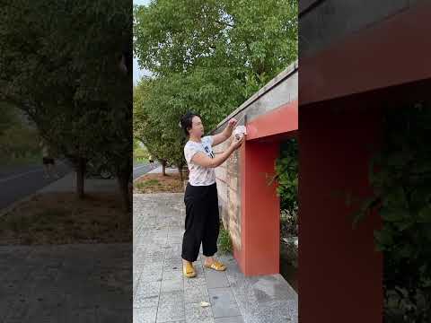 Solar Anti-theft Light That Protects Your Home Day and Night