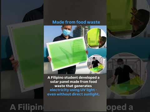 Day-19 solar panel made from food waste