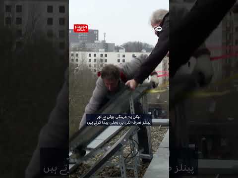 Plug in solar panels that can be put on balcony