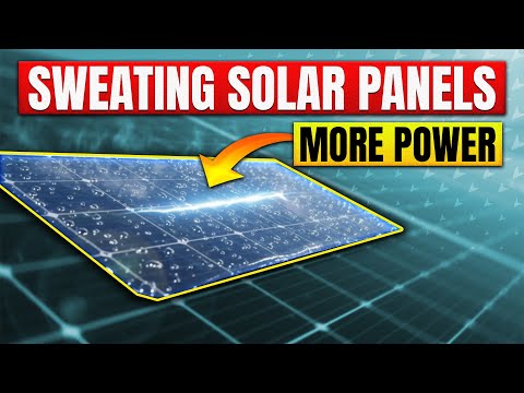 Solar Panels That Sweat Like Humans? The Future of Energy