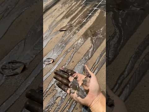 50%-90% of California solar panels’ power is lost — just because most people don’t do this one thing