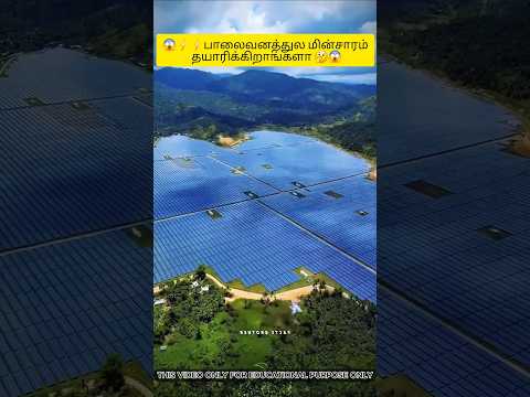 solar panels cleaned by robot #facts #shortsfeed #shortvideo #viral #china #ytshorts