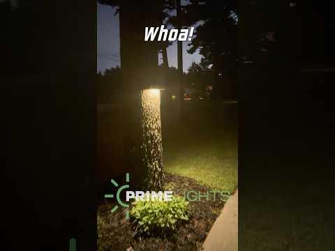 Solar Powered LED Outdoor Light – Monolith – PrimeLights Short