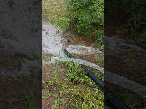 jain 7.5 HP solar pump Pani pressure ⚡#shorts #shortvideo #viral #viralshorts #trending