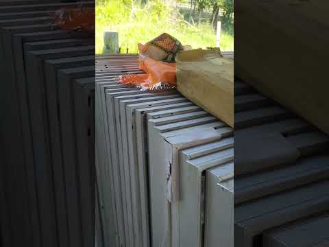 Solar panels Adani 610 Watt