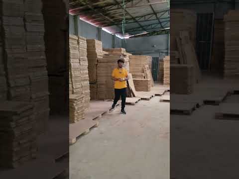 Solarlandgold 12V Solar Panel Mono