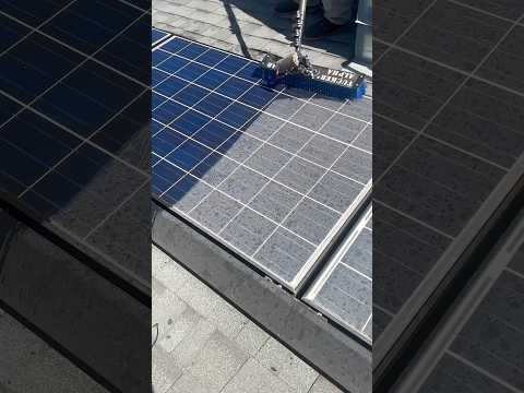 Why Cleaning Solar Panels Is a Big Deal #trivia #viral #shorts