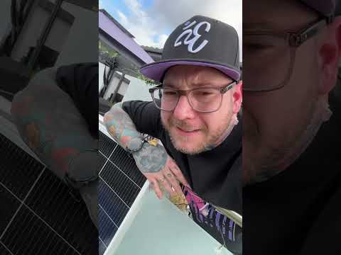 The Smartest Balcony Solar System Yet? | Sunshare Ray Lite Tested for Power & Safety ⚡🏡