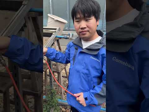 Does Compressed Air Actually Work for Cleaning Solar Panels?