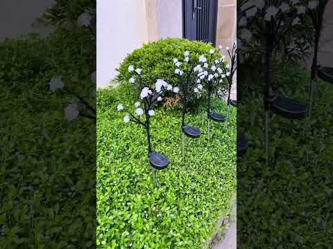 Solar Rose Light Blooms Beautifully Day and Night Garden Decor #solarlight #shorts