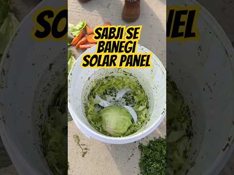 Sabji Se Bani Solar Panel | UV Rays Solar Panel.#Solar #solarpanel #green #energy #business