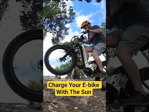 Mokwheel Inverter & Solar Panel – Quick Overview