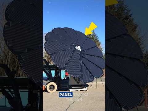 This sunflower-inspired solar panel is a true innovation in renewable energy 🌻.