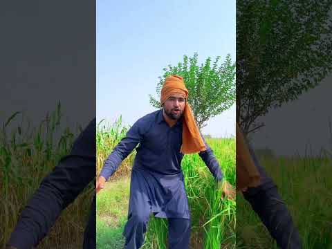 Shutar murgh #vfxshorts #funny ny solar panel tor diye🤨