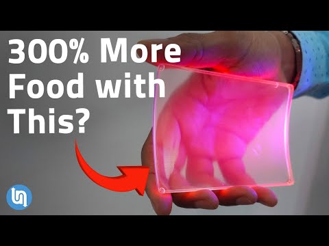 How Solar Panels Are Changing Agriculture – Agrivoltaics Revisited