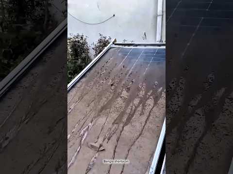 Watch when solar panels get dirty in China #viral