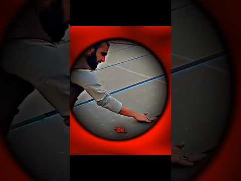 The Lucky Solar panel ☠️