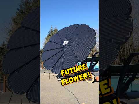 The Most Beautiful Solar Panel Ever Made