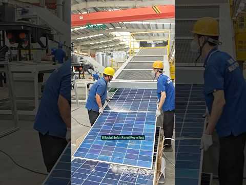 Bifacial Solar Panels Recycling Plant. #solar #solarpanel #solarenergy