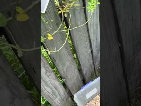 Solar Panel and Power Supply Explanation