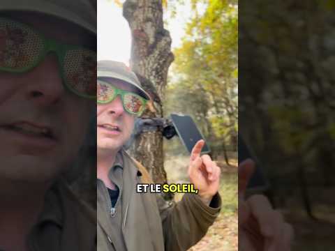 Panneaux solaire caméras chasse 🫢