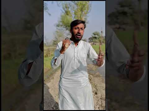 Solar panels 🧐 #funny #mainabpnewsdekhtahoon #comedyfilms #comedy