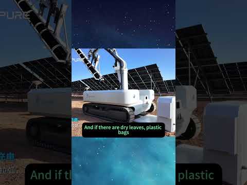 The #1 Thing That Can Destroy Your Solar Panels Isn’t Dust