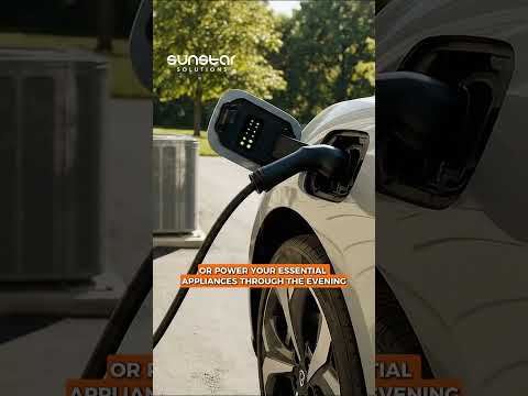 Why Are These Solar Panels All Black? ⬛