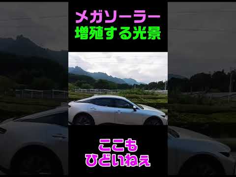 増えてますソーラーパネル #shorts