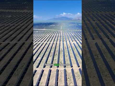 China Uses ODD Solution To Their Solar Farm Problem!😳| #Shorts