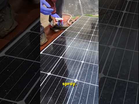 How to Remove Paint from Solar Panels Part 1 #shorts #shortvideo