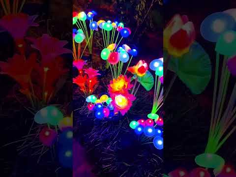 Turn Any Space Magical! Colorful Solar Ambient Light Works Package