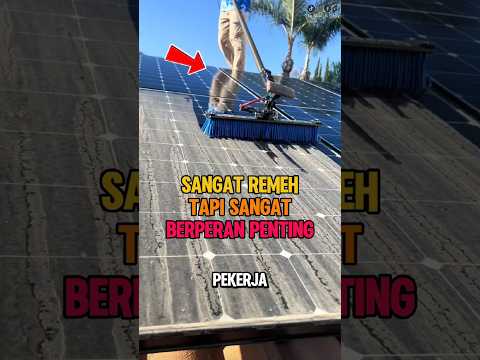 Panel Surya Itu Wajib Dibersihkan Setiap Saat #fakta #unik #informasi