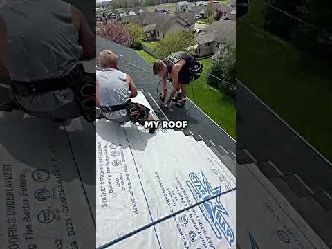 Joe on Tesla’s solar panels