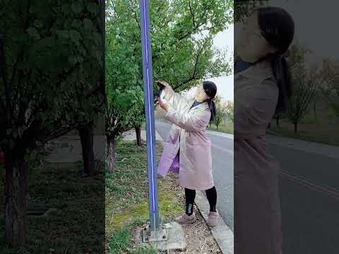 This Solar Three-Head Lamp Is a Game-Changer for Night Lighting