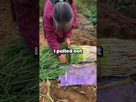 HOA Karen kept plugging her Tesla into my solar panels, so I set the voltage to maximum and…